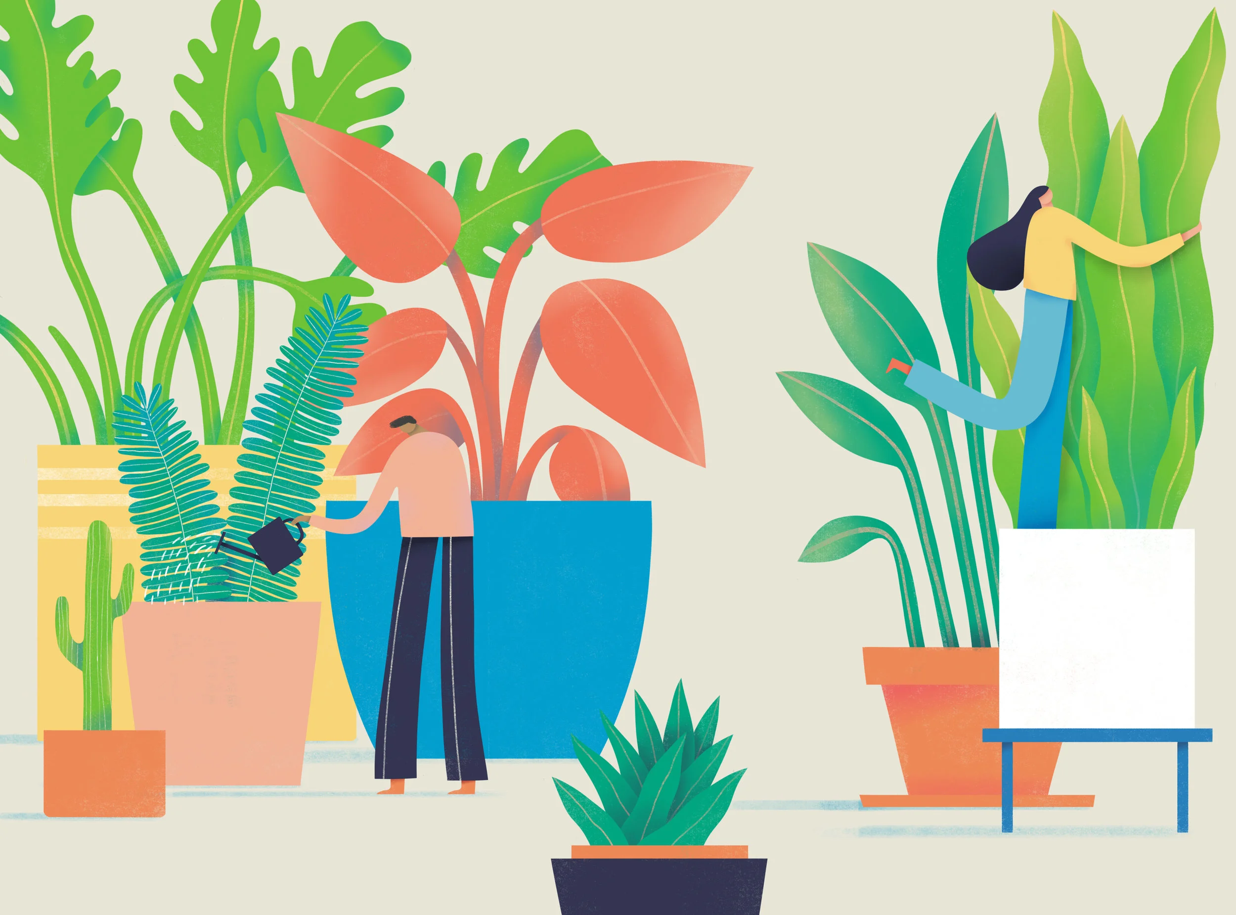 Colorful botanical illustration